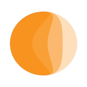 BoidLink Logo